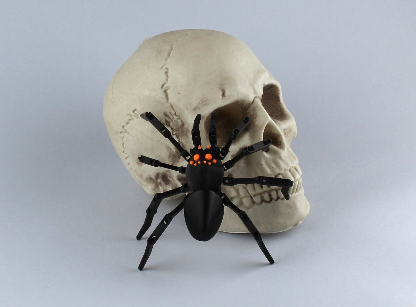 3D Printed Halloween Articulated Spider On a Plastic Skull