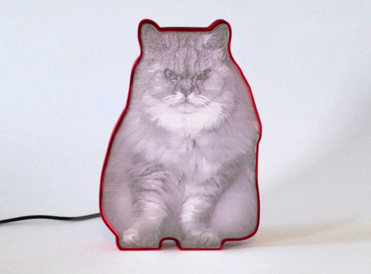 A Cat shaped 3D Printed Lithophane Lamp